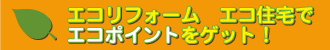�G�R���t�H�[���@�G�R�Z��ŃG�R�|�C���g���Q�b�g�I