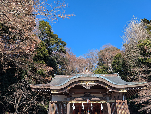 守屋通信64号表紙